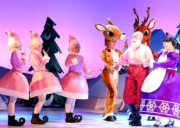 Santa Mrs Claus and Elves