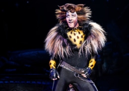 an actor dressed as a black spotted cat in the Broadway National Tour of Cats