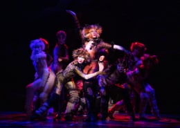 A group of dancers dressed as cats dance onstage in CATS