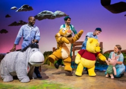 The cast and puppets of Winnie the Pooh pose onstage