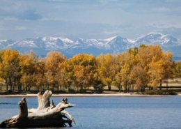 A view over the water at Cherry Creek State Park