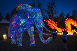 A glowing elephant sculpture with flames in the background